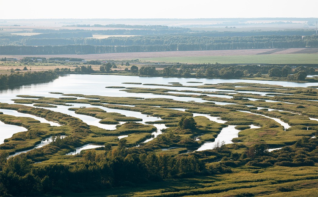 Свияжск, Тихий Плес и Иннополис: три якоря жизни — фото 9