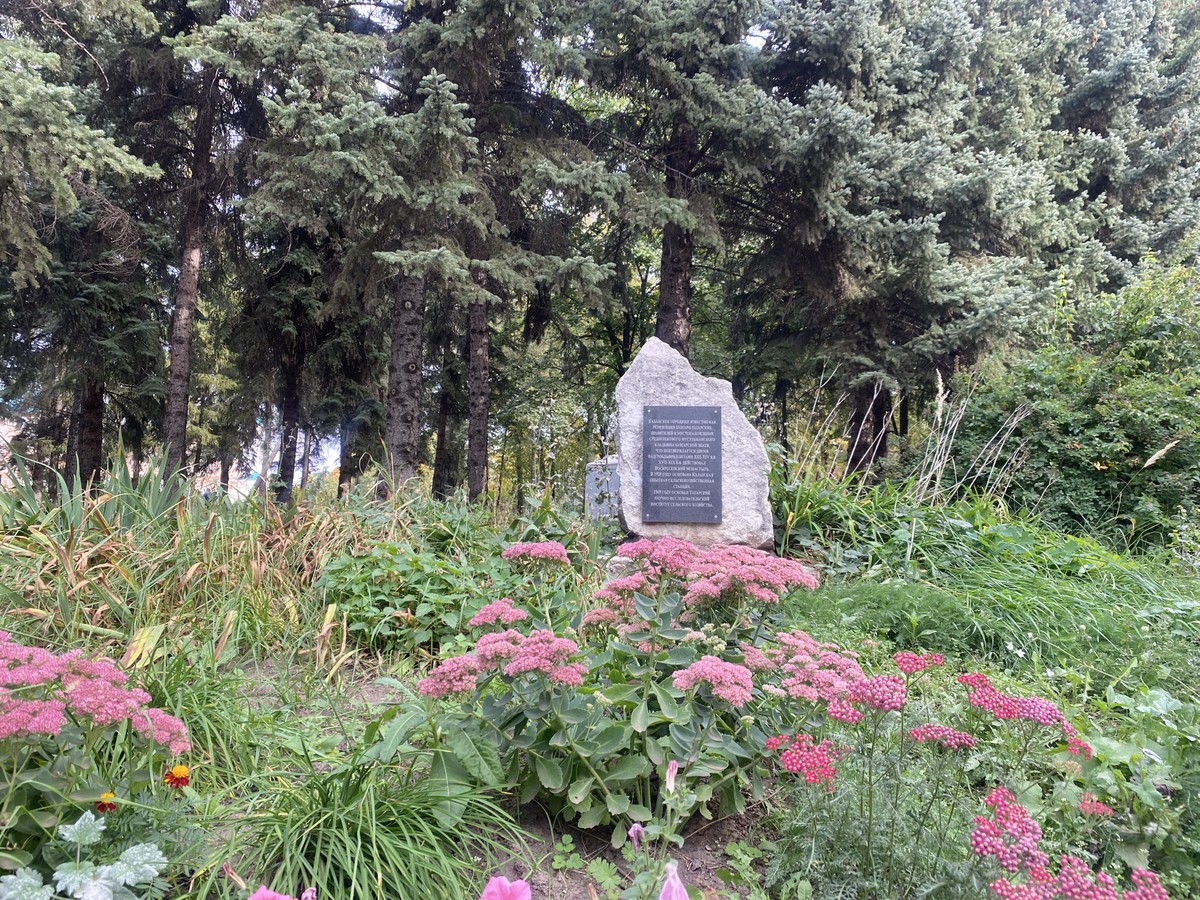 «Остров Эдем»: Ново-Иерусалимский монастырь в Казани — фото 3