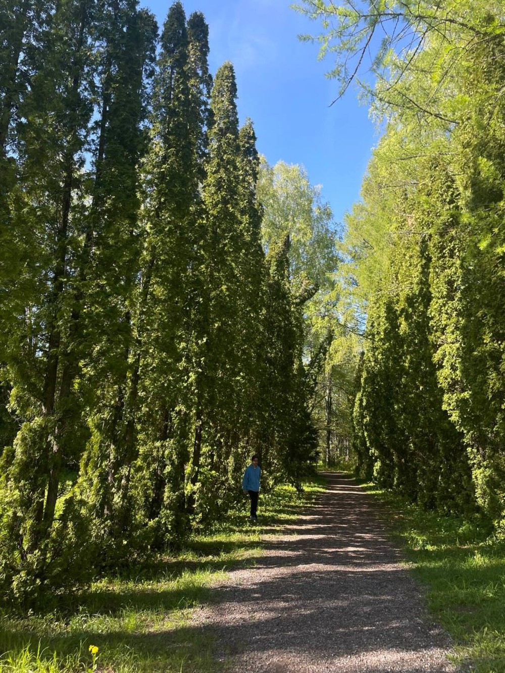 Из Казани — к Голубым озёрам, заповеднику и монастырю среди деревьев — фото 5