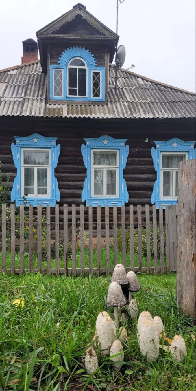 Лаишево в деталях — из Казани — фото 3