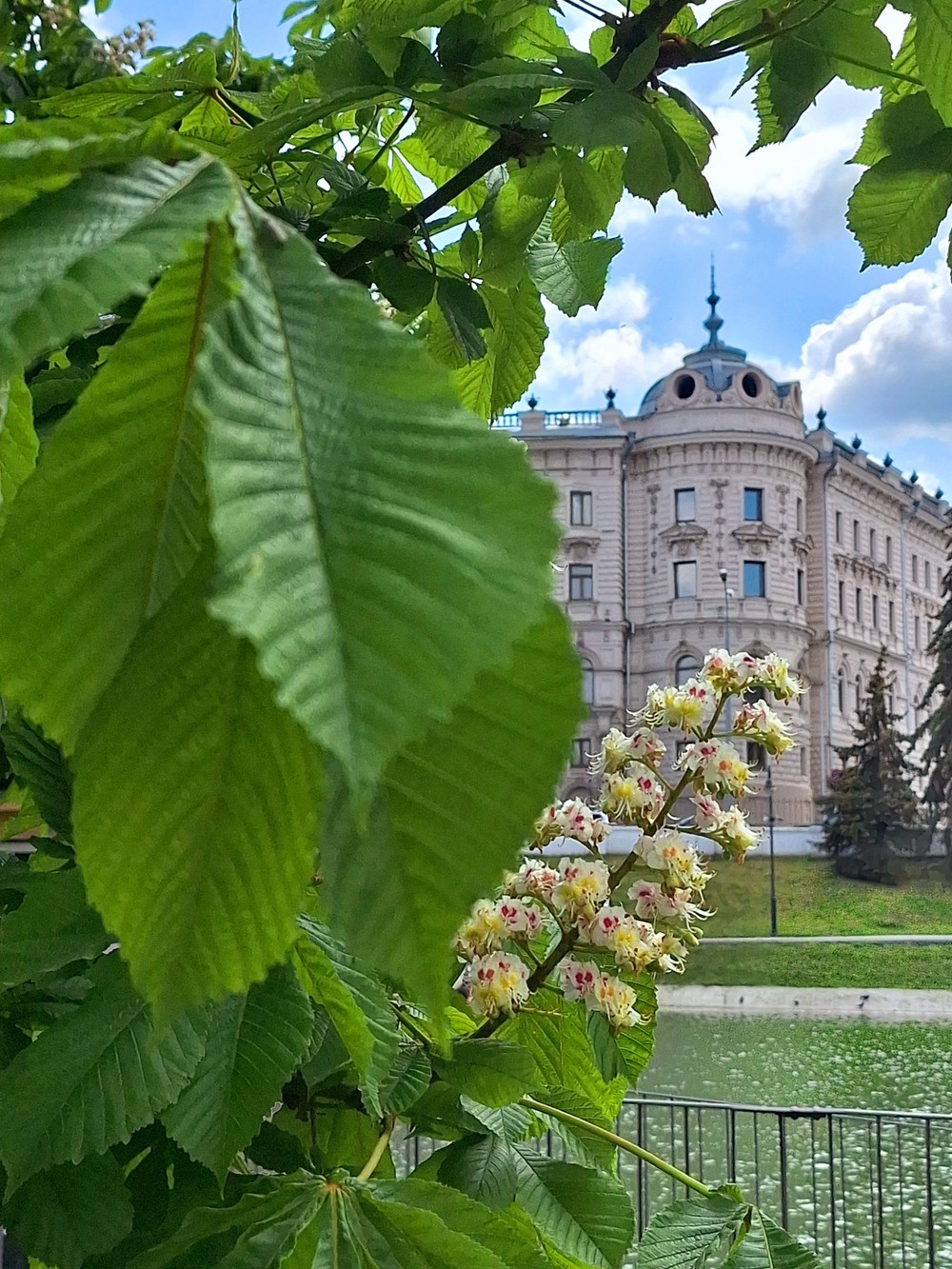 Казань — Петербург: два города — одна душа — фото 8